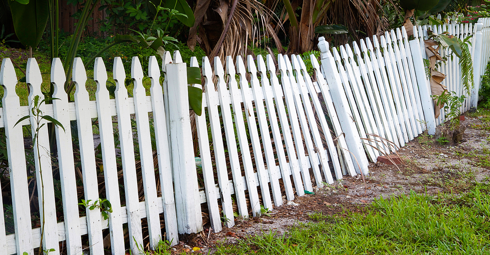 Damaged Fence