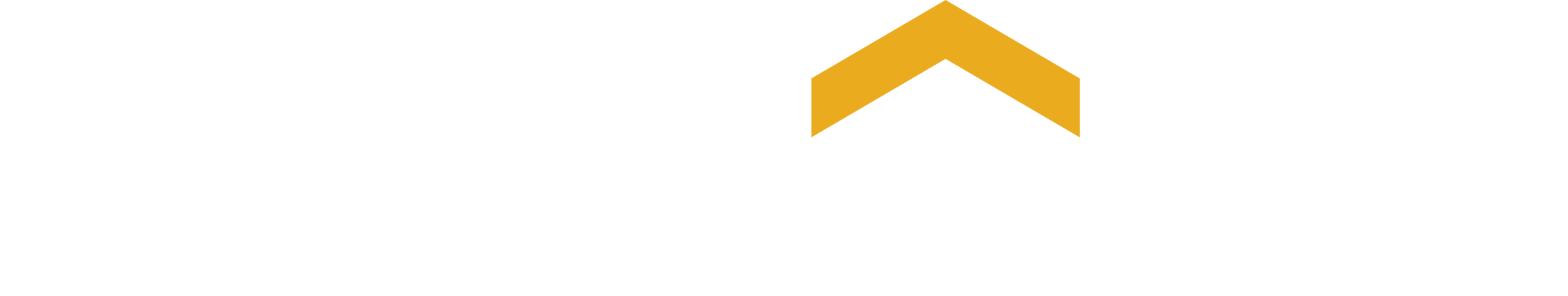 LiftLock Logo – Reversed